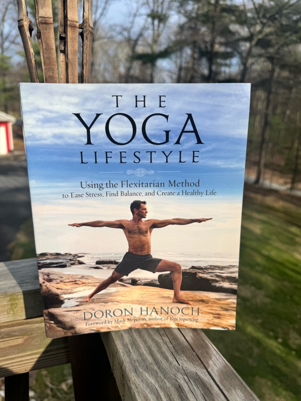 📚 The Yoga Lifestyle by Doron Hanoch - Gently used